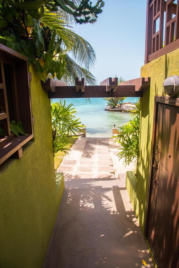 Maribella@Crystal Cove Ocho Rios Apartman Stanmore Grove Kültér fotó